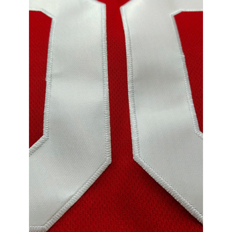 Maglia da basket con nome e nu - Embroidery Jersey recensione e prezzo